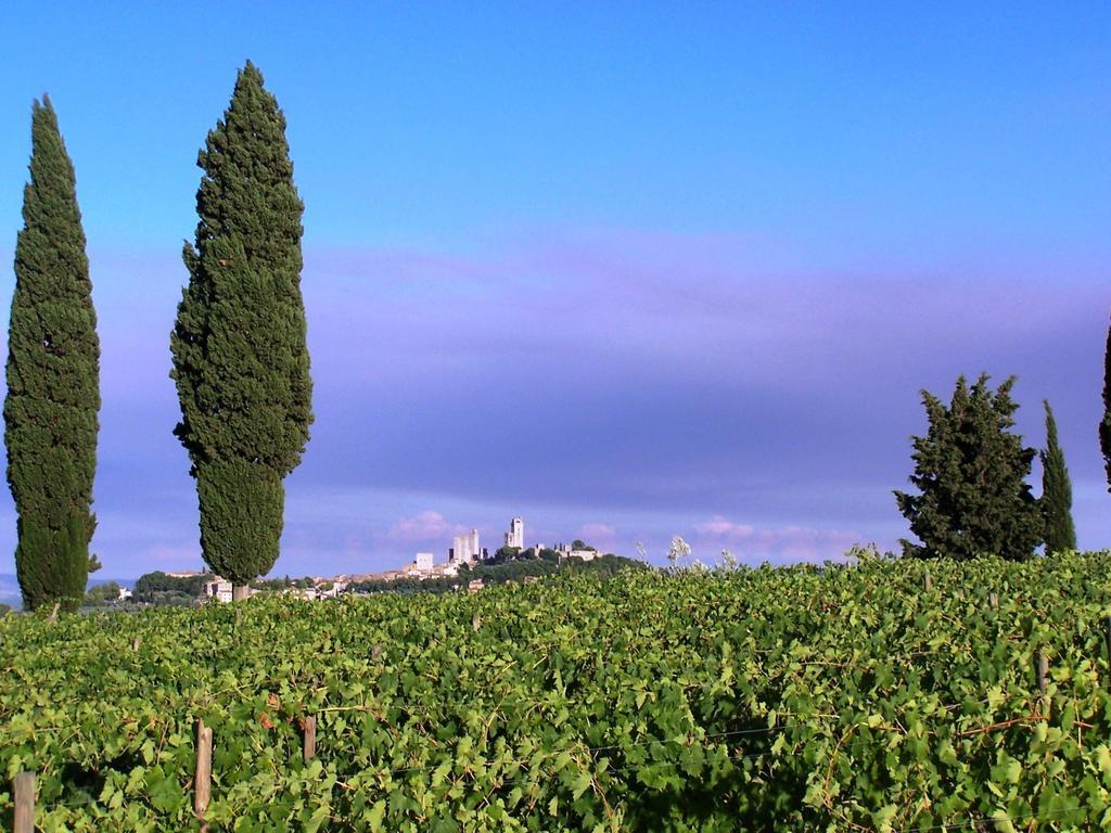 Poggetto Di Montese Apartment San Gimignano Room photo